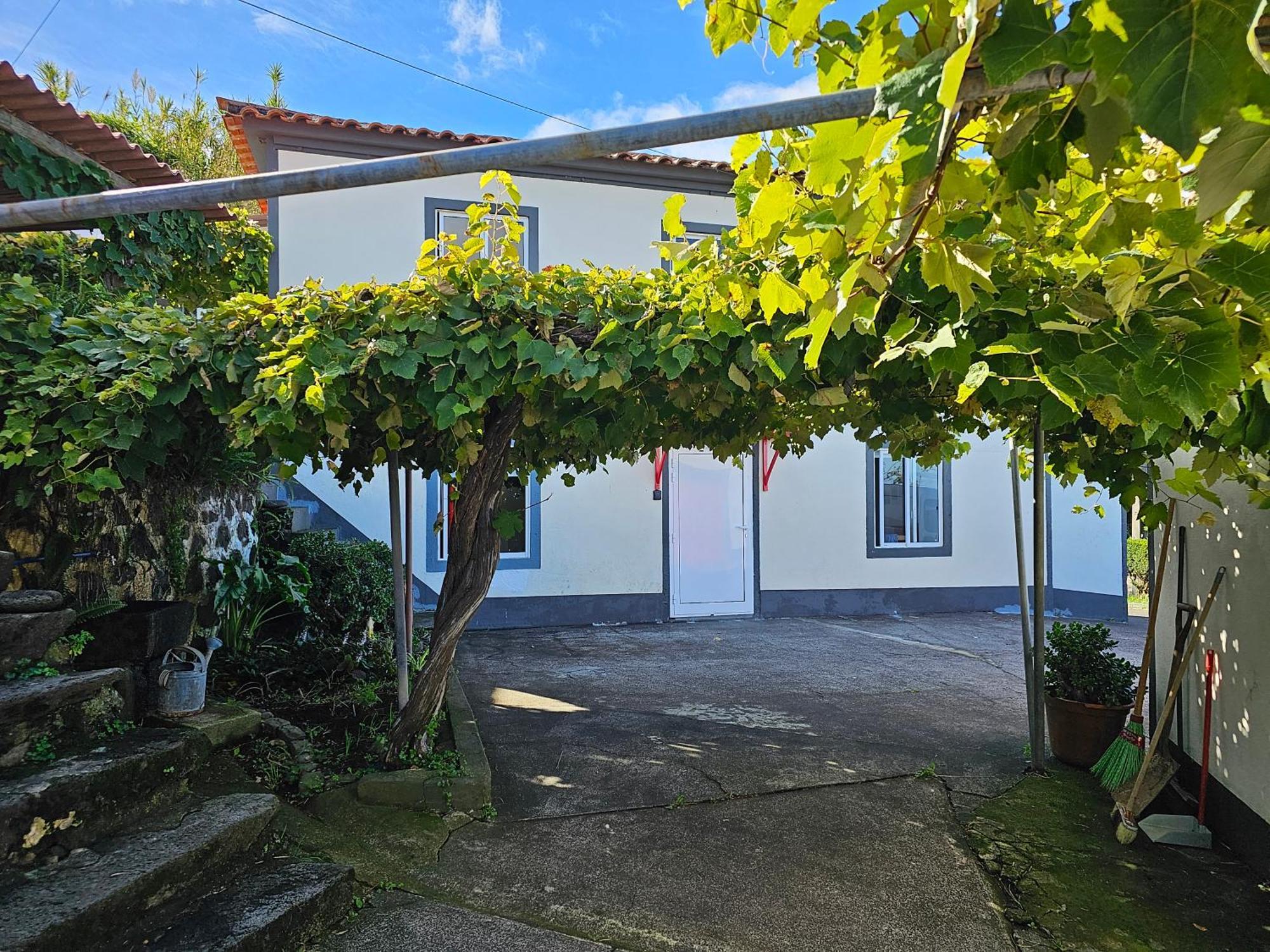 Casa Anjos Holiday Cottages Cedros Экстерьер фото