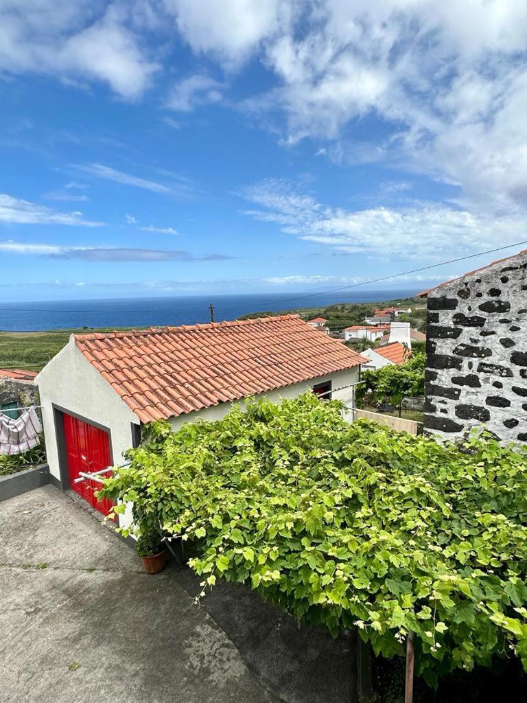 Casa Anjos Holiday Cottages Cedros Экстерьер фото
