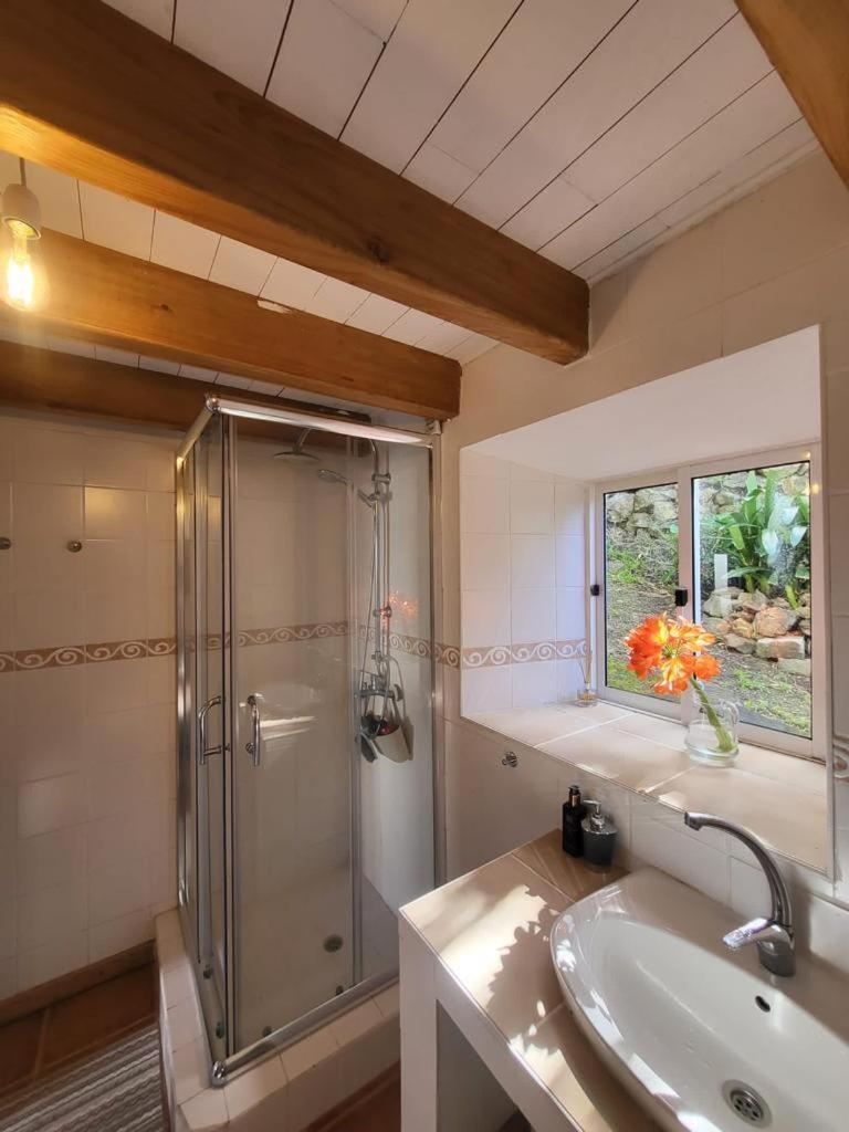 Casa Anjos Holiday Cottages Cedros Экстерьер фото
