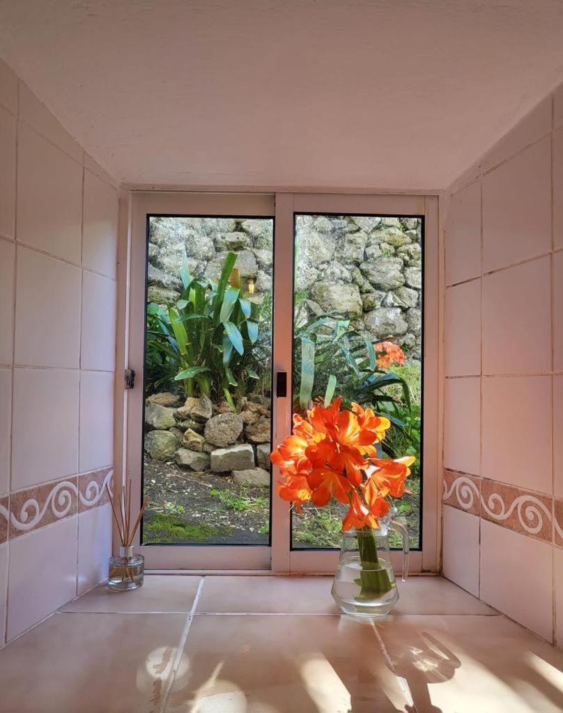 Casa Anjos Holiday Cottages Cedros Экстерьер фото
