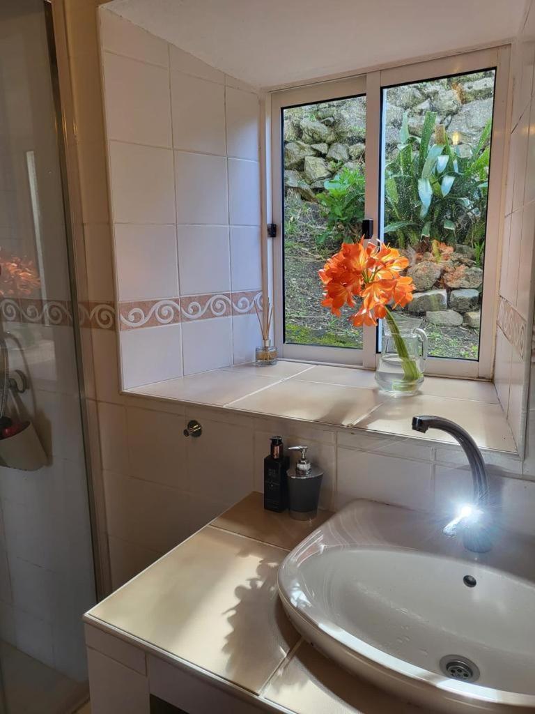 Casa Anjos Holiday Cottages Cedros Экстерьер фото