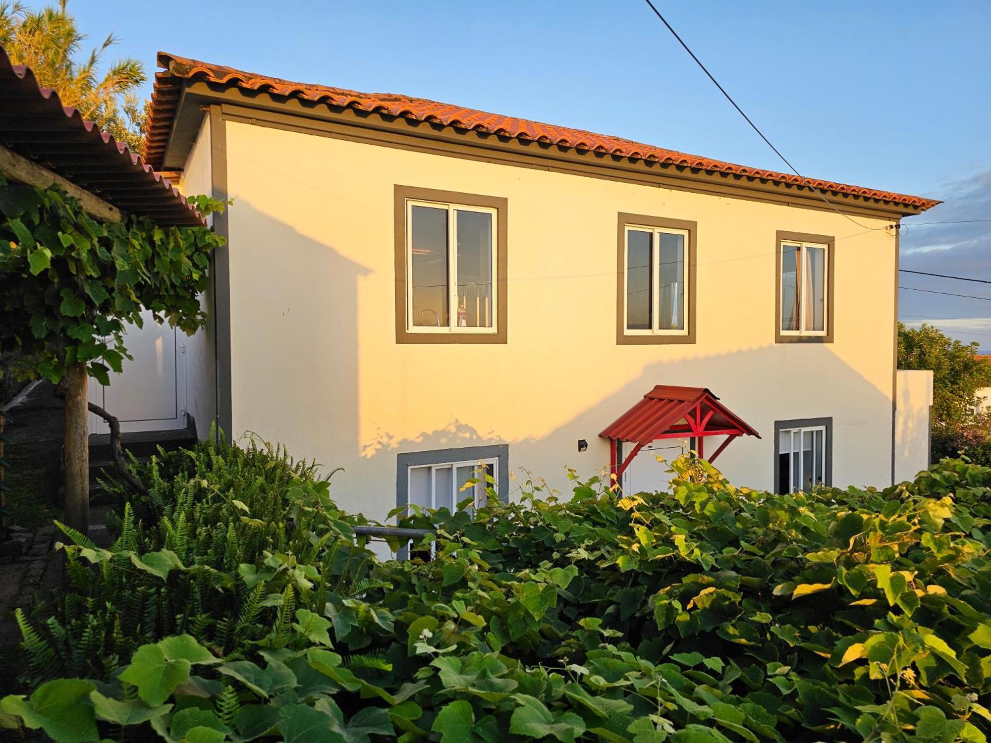 Casa Anjos Holiday Cottages Cedros Экстерьер фото