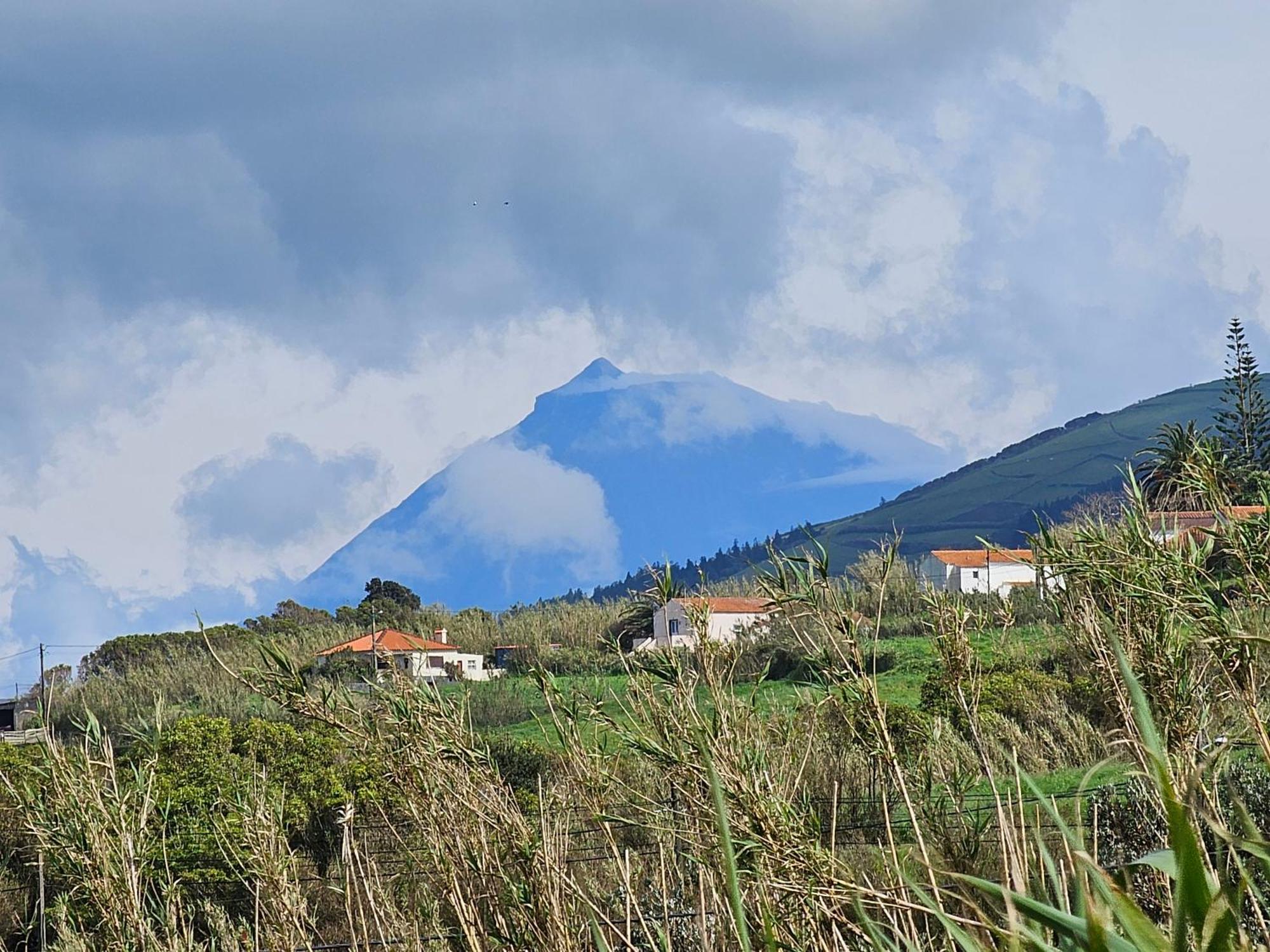 Casa Anjos Holiday Cottages Cedros Экстерьер фото
